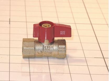 1/2 Fipx1/2fip Lvr Hdl Gas For Ez-Flo -Part# SGV441
