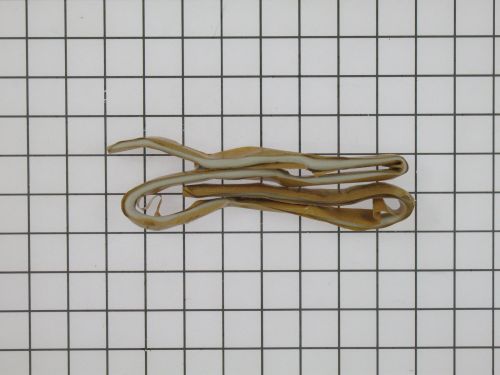 SEAL CORDS 3/8"X 25' For VAPCO Part# SCC-1